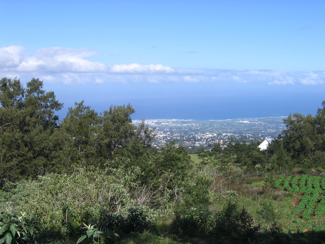 Réunion 12