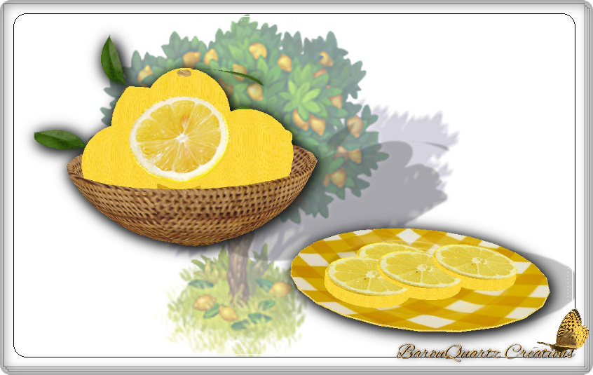 GT panier citron