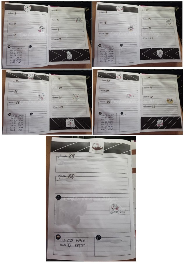 pages semaines bullet journal aristochats
