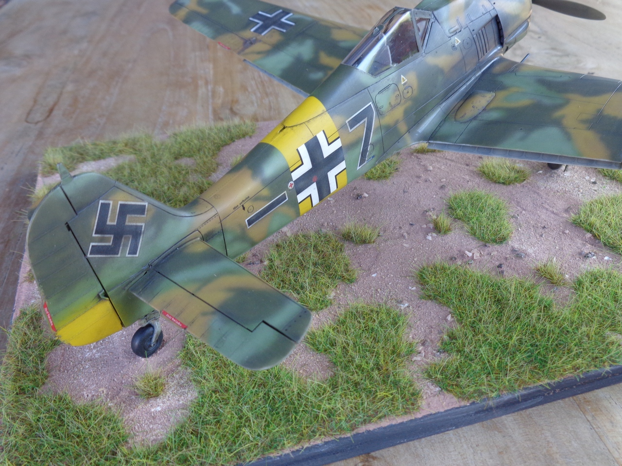 FW 190A - Emil Lang Russie 1943 - 5./JG 54 - Hasegawa - 1/32 5qJSJb-DSC01459