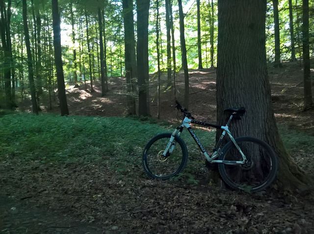 99293205_3029928623801472_4016106446839087104_o