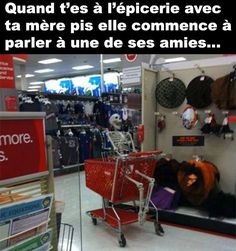 831b0424b2b5d4b309946ee6428ce7fe