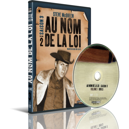 Au nom de la loi - Saison 3