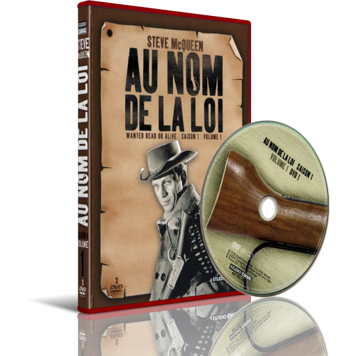 Au nom de la loi - Saison 1