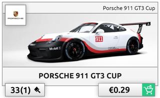 911_GT3_cup