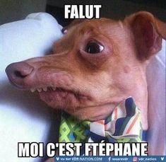 515b689d25eb7b14d856c834d2cece06