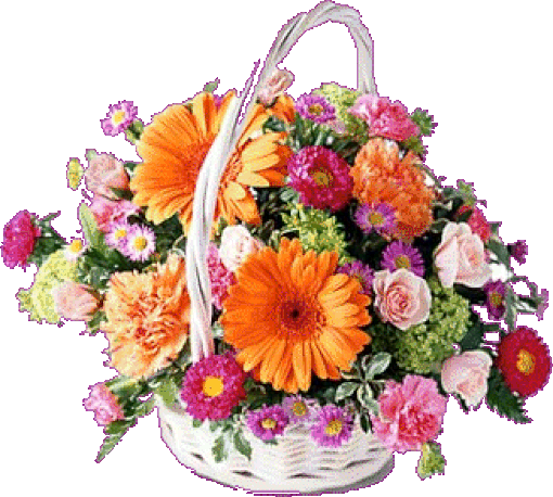 Mon image/p>