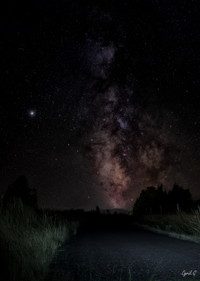 50245326493_6e340e99cd_obis