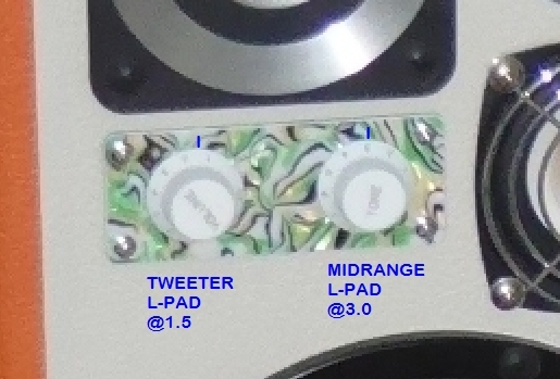 P2SoKb-L-PAD-settings.jpg