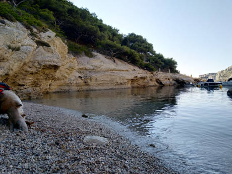 Randonn&eacute;e et baignade : Calanque de Morgiou