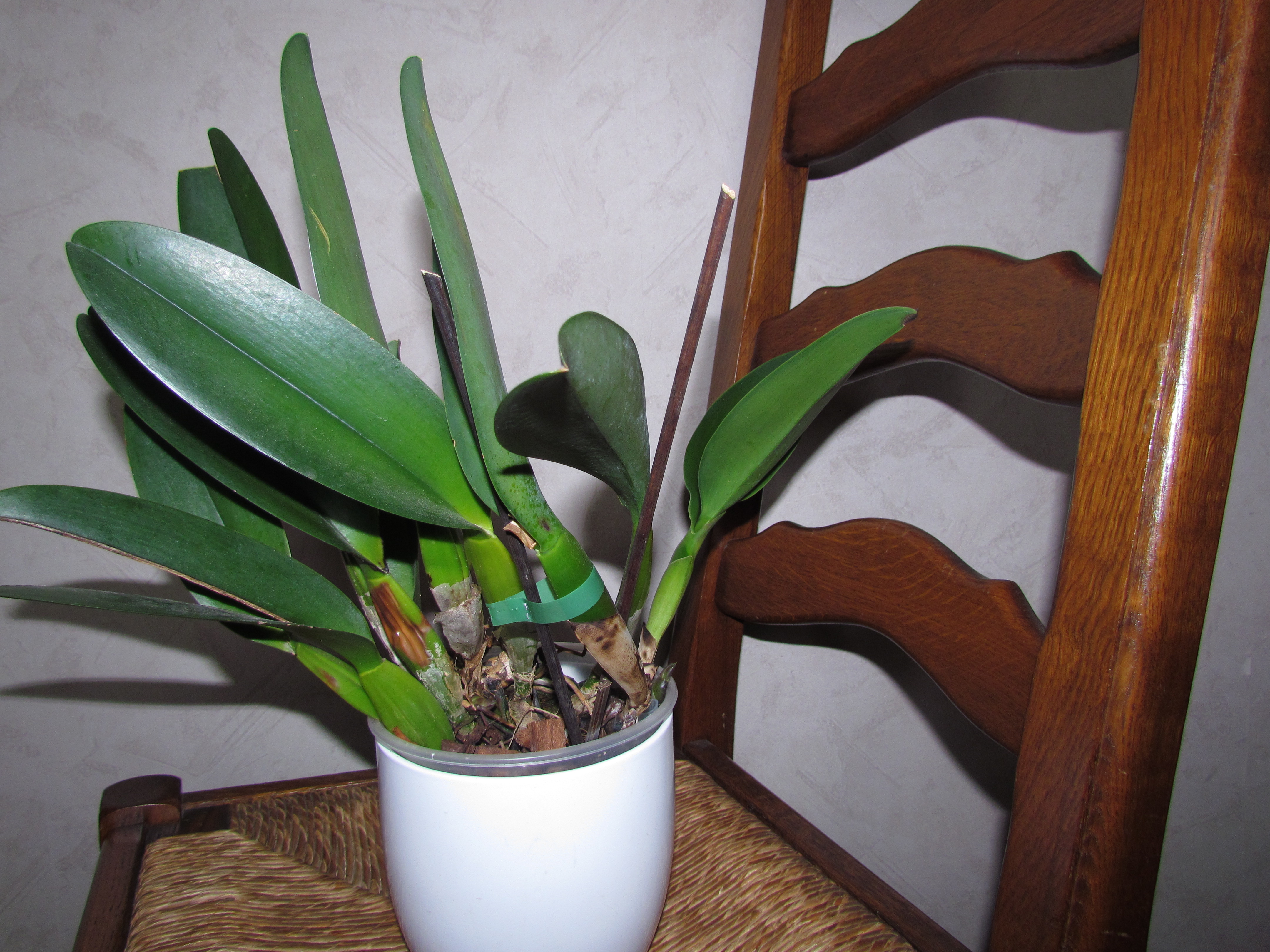 20100212055024918817061427.jpg