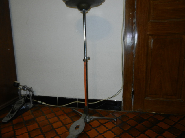 pied charley vue d'ensemble 