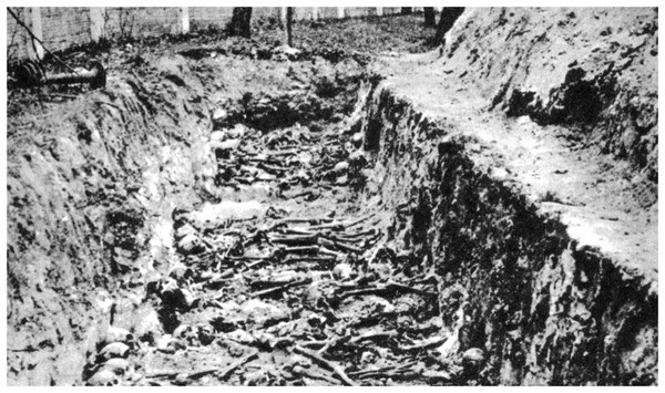 Article annexe : Crimes de guerre nazis en Union Soviétique PsuAKb-fosse-commune-de-prisonniers-sovietiques