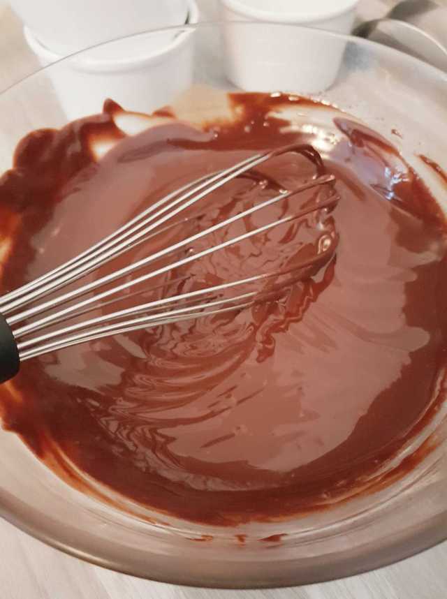 Un fondant au chocolat noir délicieux avec Nestlé Bio dessert! 🍫