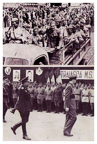 Article annexe : Résistance dans l'Europe occupé par les Nazis SVPBKb-division-roumaine-alliee-vladimirescu