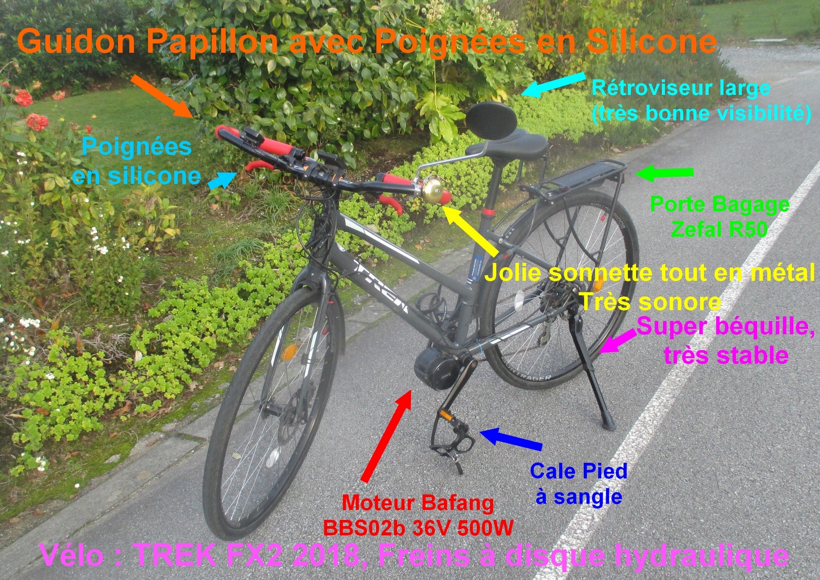 00000 20201017_IMG_3591_R_R1600