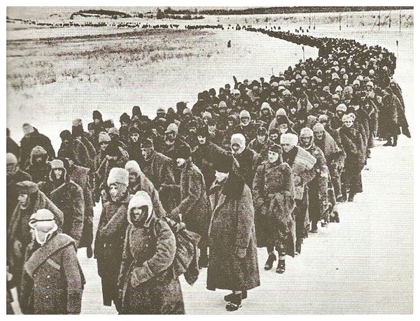 Article annexe : Bataille de Stalingrad QCaQKb-colonne-de-prisonniers-de-laxe