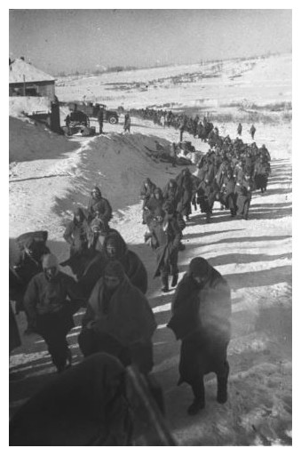 Article annexe : Bataille de Stalingrad 59cQKb-colonne-de-prisonniers-allemands