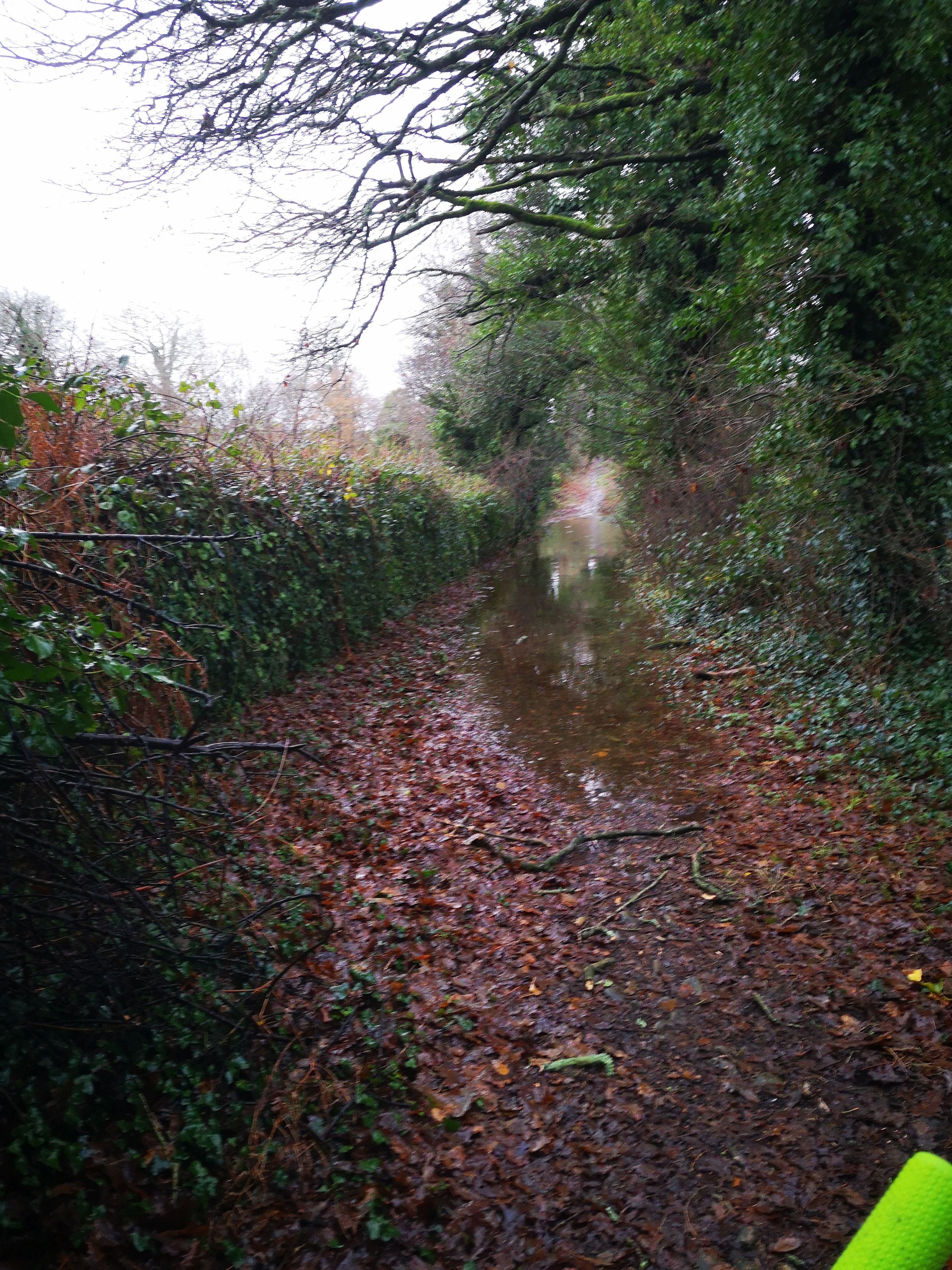 IMG_20201222_161112