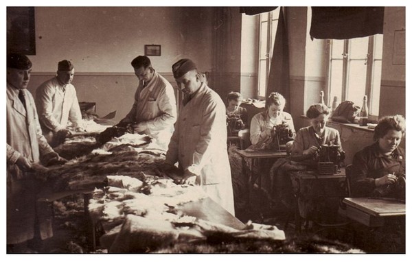 Article annexe :  Chronologie de la Seconde guerre Mondiale E4LWKb-atelier-confecton-de-fourrure