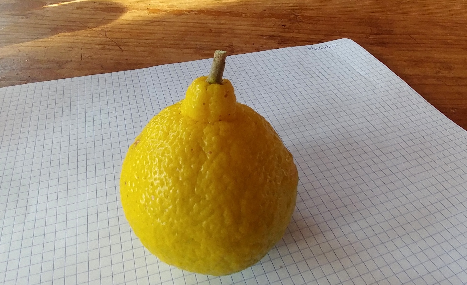 citrus-haruka-2