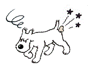https://nsm09.casimages.com/img/2021/01/28//21012810335423451817234880.gif