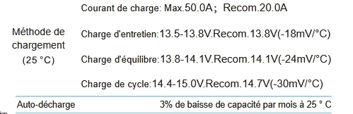 ft-batterie JDG12-200
