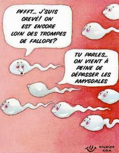 326e3d933ead62847977d78b088d85d1