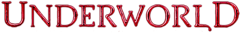 21030301231321376917293346.png