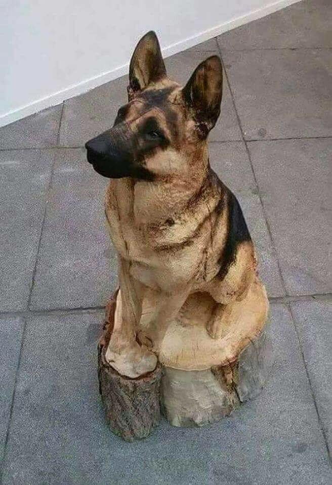 153433395_1393258467683818_5565506534366656292_n