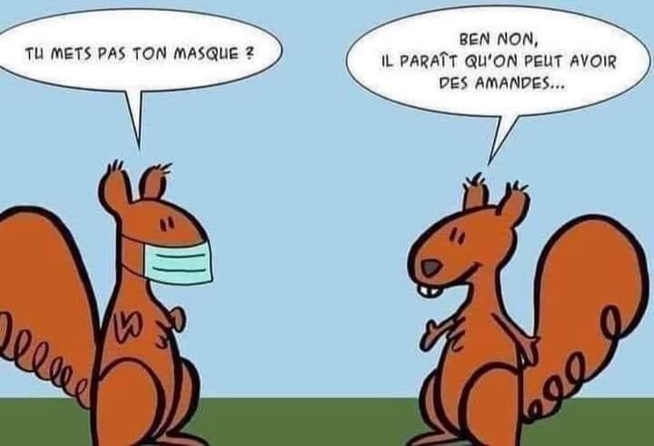 154558022_3876419922450778_765882331044504965_n