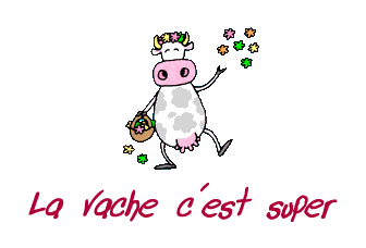 gif-bravo-fc3a9licitations-125