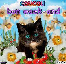 159734779_10224991619764673_8337474138720265152_n