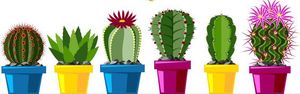 Liens sur les Cactus- Plantes grasses et succulentes - Page 4 2103260822239215617336541