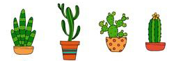 Liens sur les Cactus- Plantes grasses et succulentes 2103260845079215617336573