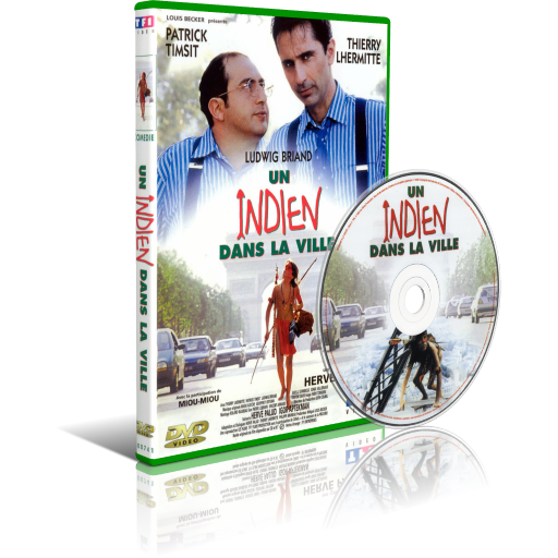 Un Indien dans la ville