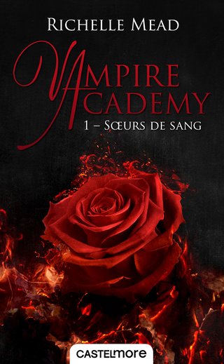 vampire-academy-tome-1-soeurs-de-sang-762024