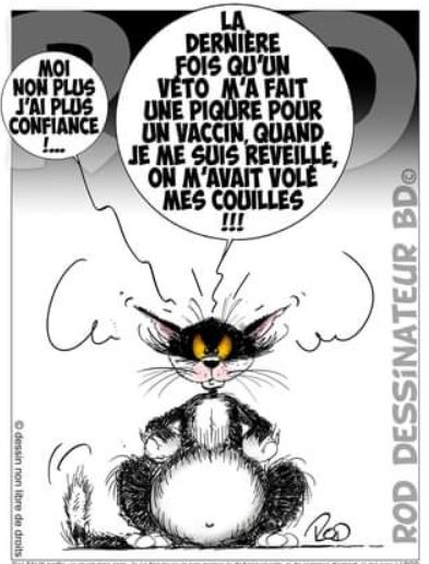 Rod dessinateur BD