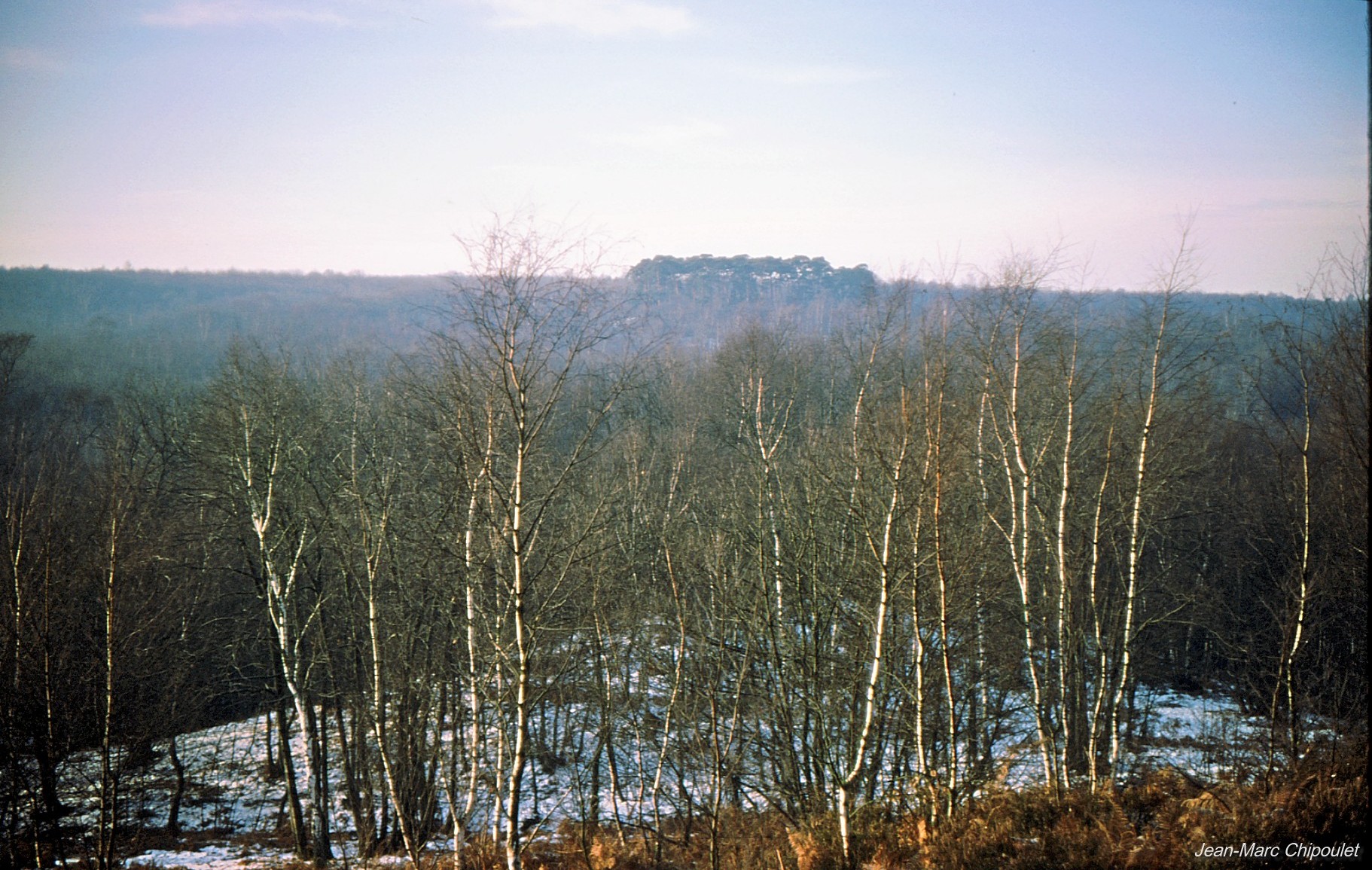 Forêt de Montmorency-01