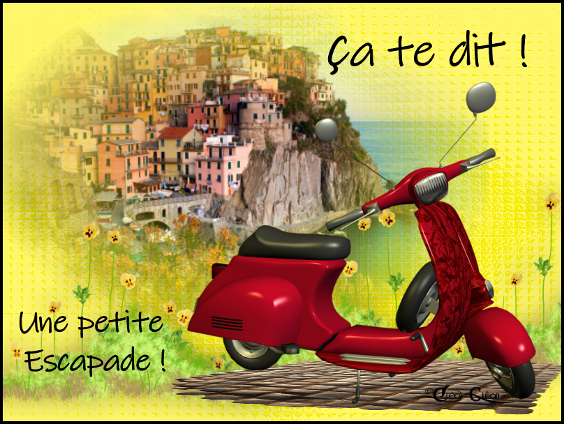 5. Invitations 006