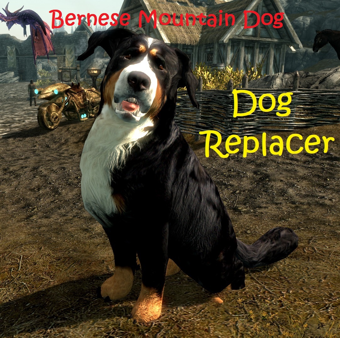 1 Steam Bernese Mountain Dog