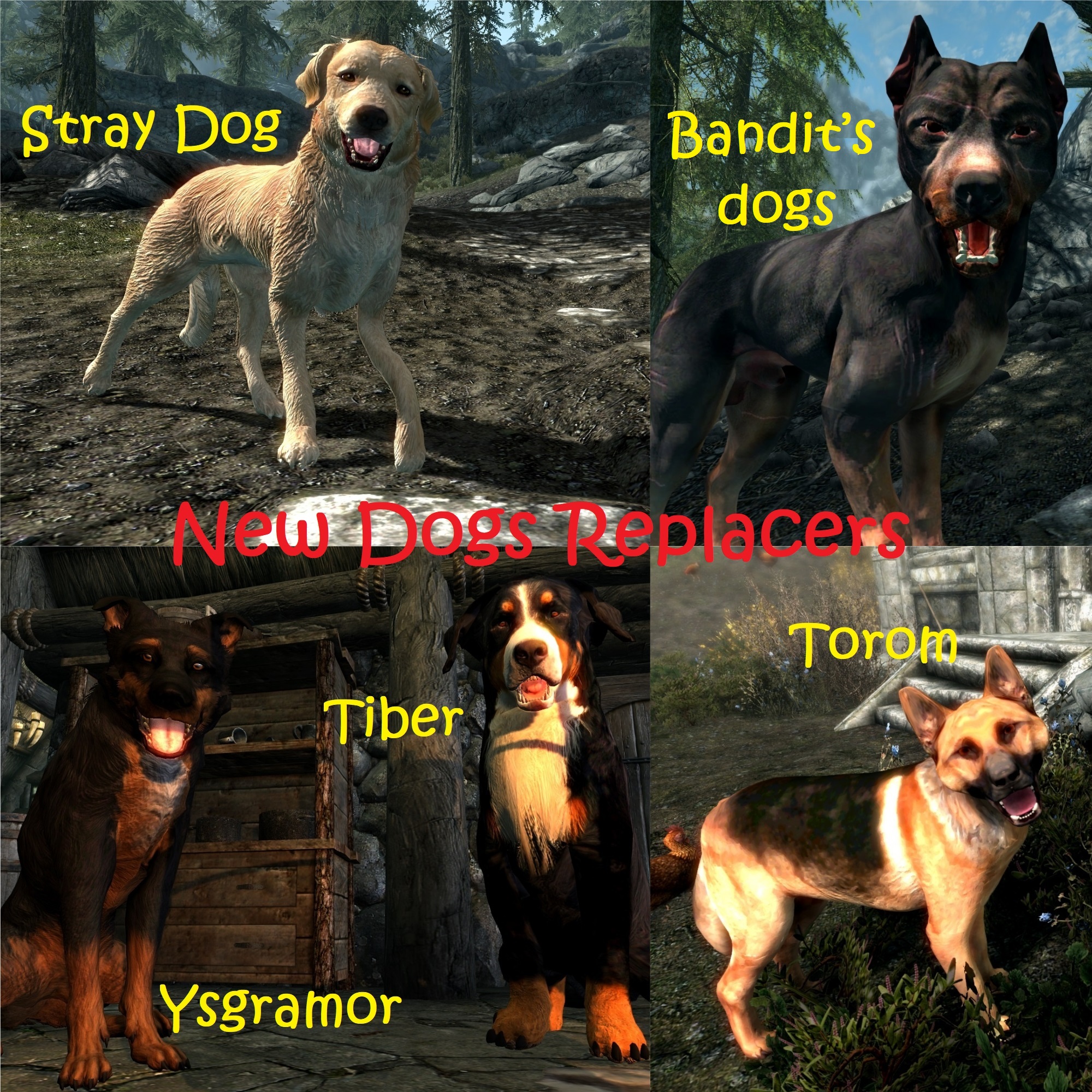 New Dogs Replacers 4