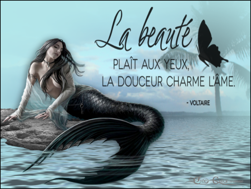 2.Amour 026