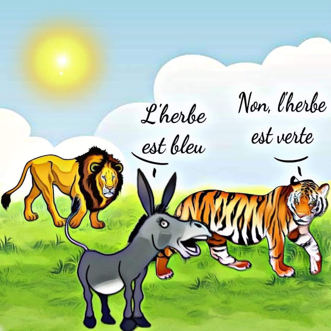image perso