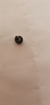 mini_21082011440119256717533758.jpg