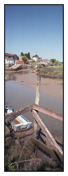 Mornac sur Seudre - Pause Photo126