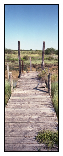 Mornac sur Seudre - Pause Photo134