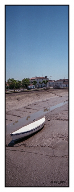 Mornac sur Seudre - Pause Photo143