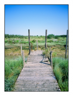 Mornac sur Seudre - 100216280001