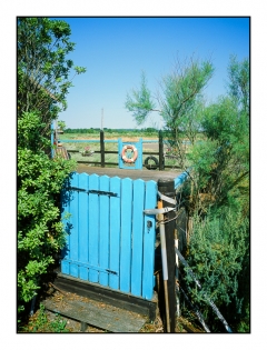 Mornac sur Seudre - 100216280003